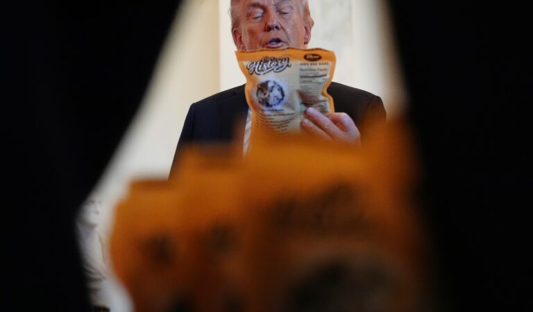 TikTok ayudó a Trump a ganar las elecciones de 2024 mientras la red arriesgaba su futuro en EE. UU.